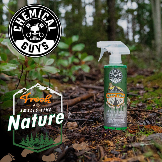 Chemical Guys AIR25416 - Happy Trail Outdoorsy Pine Premium Lufterfrischer